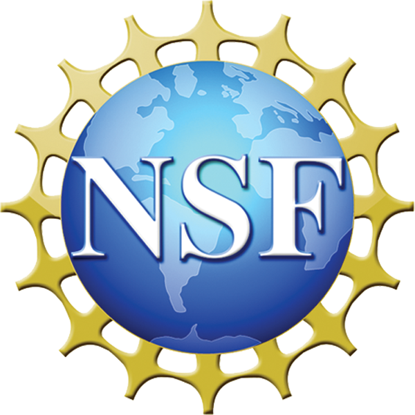 National Science Foundation Technology Innovation Partnership ...