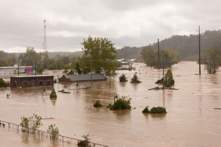 Advancing Community Resilience: The Hub’s Vision for Modern, Adaptation Governance