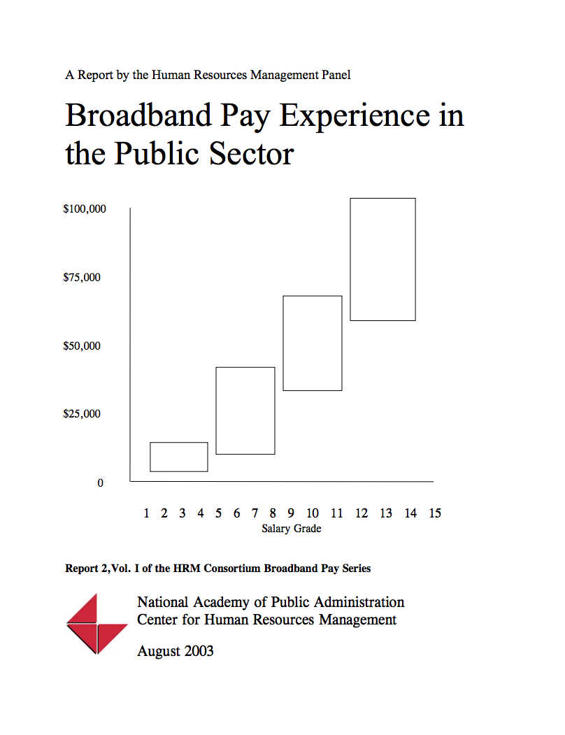 03 07 Broadband Pay Experience Public Sector