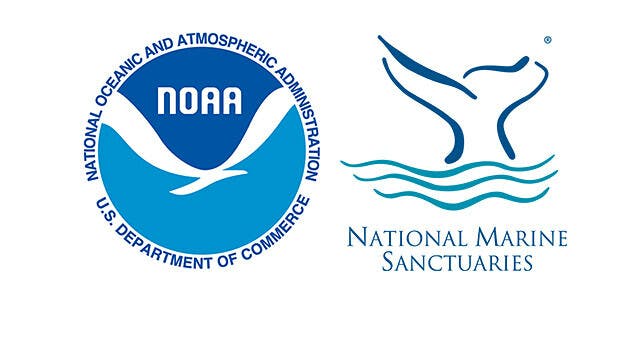 National Marine Sanctuaries ステッカー 通販